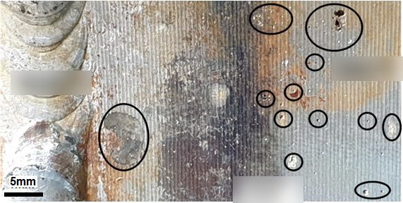 Piqûres en partie basse de la paroi intérieure